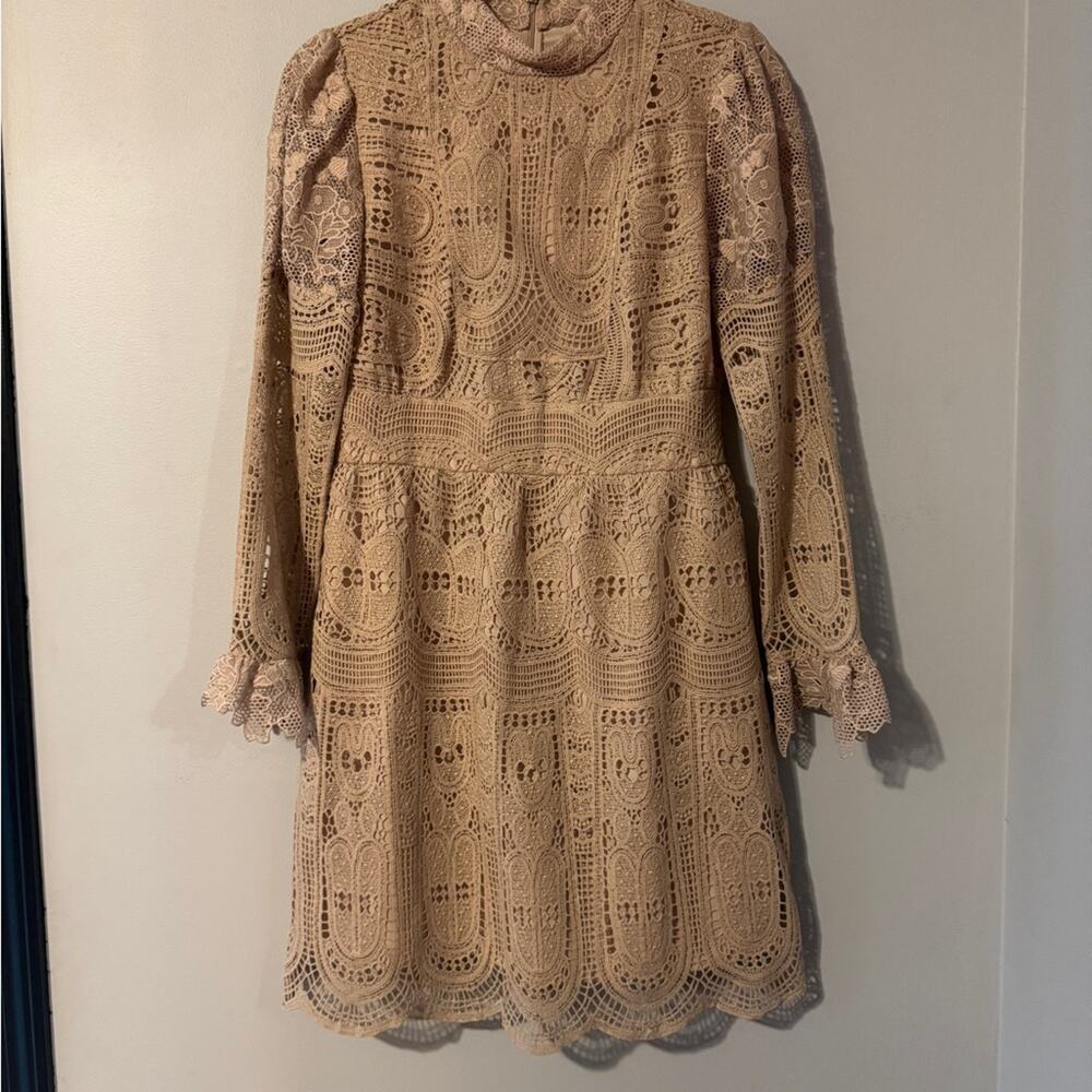 Anna Sui Rare Beige Lace Mock Neck lace overlay long sleeve mini dress size 4 - Picture 2 of 8